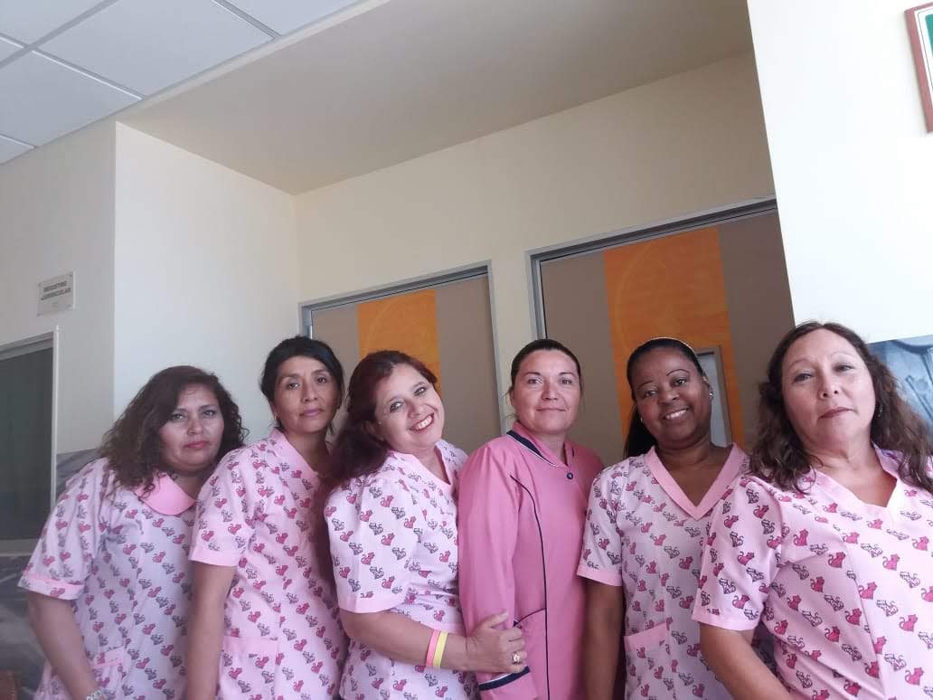 Voluntarias de Iquique, damas de rosado
